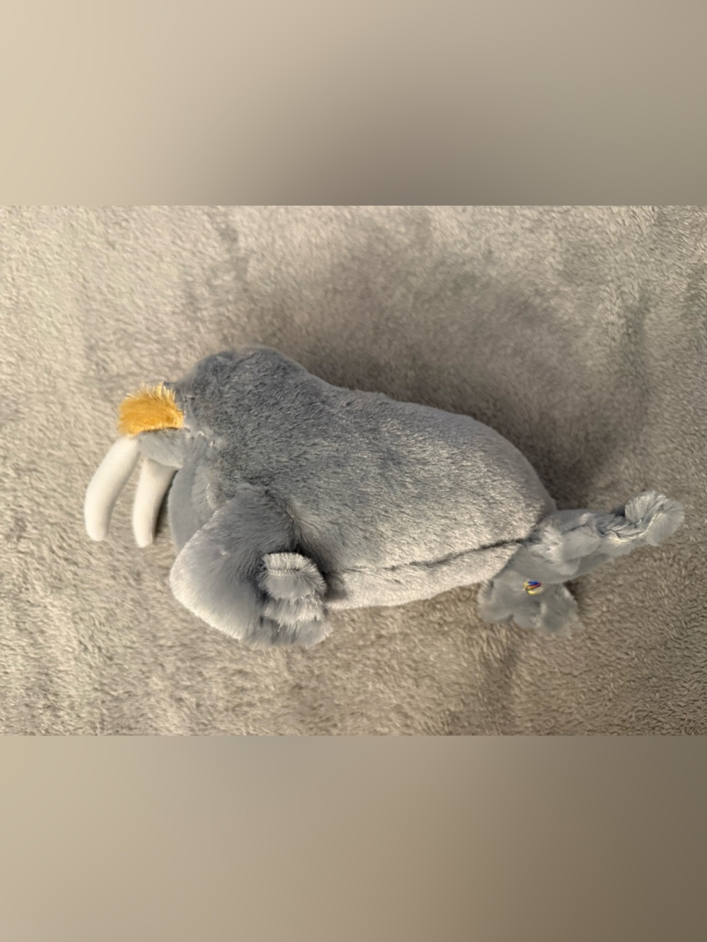 Webkinz - Picture 4 of 4